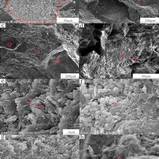 ladyboys asiaticos|Types and genesis of the Neoproterozoic glauconites, Longshan .